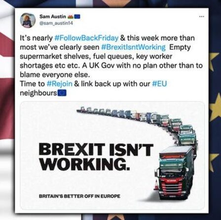 Desperate Remainers lance une "manifestation numérique" pour que la Grande-Bretagne rejoigne l'UE MAINTENANT