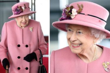 'Elle est merveilleuse!'  La reine Elizabeth dans un message aux Gallois avec broche