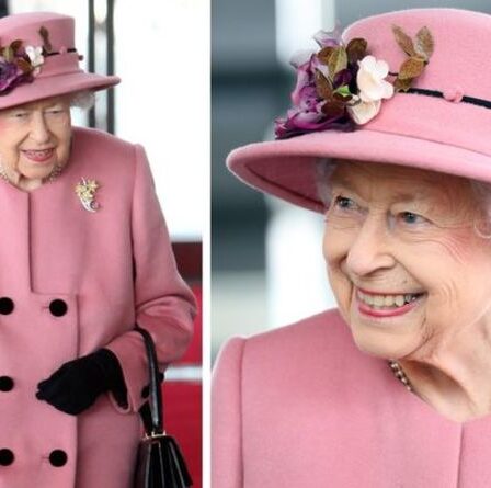 'Elle est merveilleuse!'  La reine Elizabeth dans un message aux Gallois avec broche