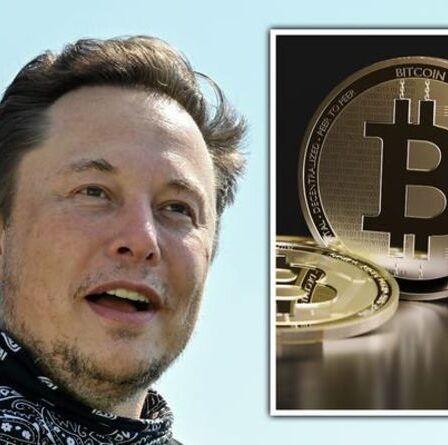 Elon Musk humilié alors que Bitcoin prend de la valeur après que le chef de Tesla a radié la crypto-monnaie
