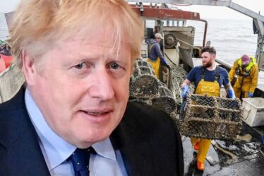 'Épuisé!'  Le Brexit va "dévaster" l'industrie de la pêche alors qu'un rapport explosif révèle une perte de 300 millions de livres sterling