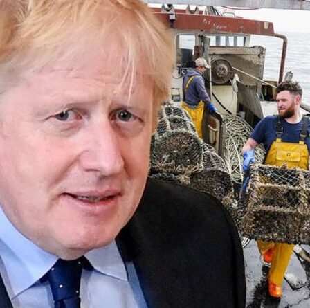 'Épuisé!'  Le Brexit va "dévaster" l'industrie de la pêche alors qu'un rapport explosif révèle une perte de 300 millions de livres sterling