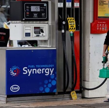 Essence E10: les conducteurs ont mis en garde contre le stockage de carburant «à risque» car la durée de conservation peut différer en fonction de la chaleur