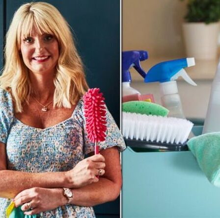 Exclusif : liste de contrôle de nettoyage Lynsey Queen of Clean - produits essentiels pour les étudiants
