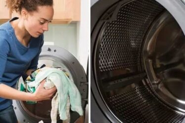 « Fait des merveilles ! »  Les fans de Mme Hinch partagent des conseils pour nettoyer la machine à laver et prévenir la moisissure