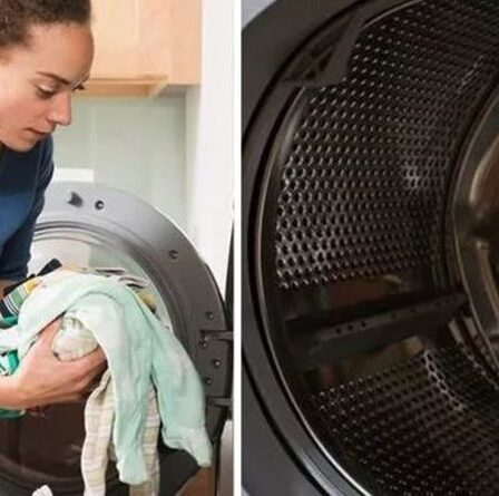 « Fait des merveilles ! » Les fans de Mme Hinch partagent des conseils pour nettoyer la machine à laver et prévenir la moisissure