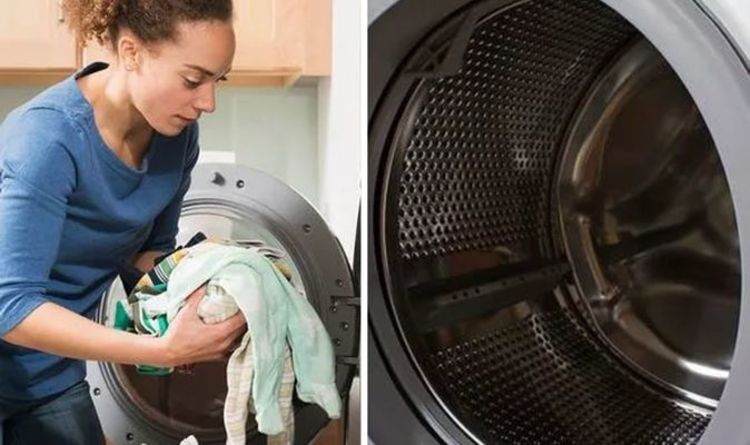 « Fait des merveilles ! »  Les fans de Mme Hinch partagent des conseils pour nettoyer la machine à laver et prévenir la moisissure