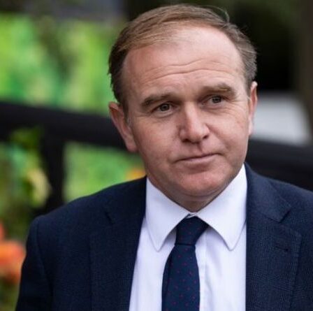 "Faites quelques ajustements" Les ministres envisagent des visas temporaires pour les bouchers étrangers au milieu de l'abattage des porcs