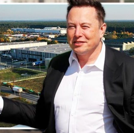 J'aurais dû choisir le Royaume-Uni !  Ouverture de l'usine Tesla à Berlin – mais la paperasserie européenne bloque la production
