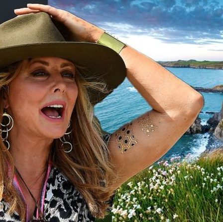 'Je déteste ça!'  Carol Vorderman fulmine contre les personnes égoïstes qui jonchent le « beau pays »