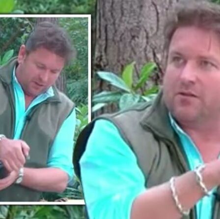 'Je fais de mon mieux!'  James Martin critique la cuisine