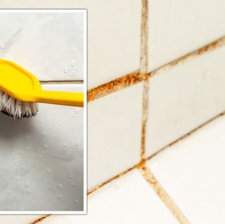 « Je ne peux pas le battre ! »  Les fans de Mme Hinch partagent un hack "incroyable" pour nettoyer le coulis jaune