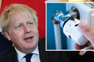 Johnson a averti que les Britanniques "ne pouvaient pas se permettre" une autre hausse des prix pour financer un changement d'énergie verte de 50 milliards de livres sterling
