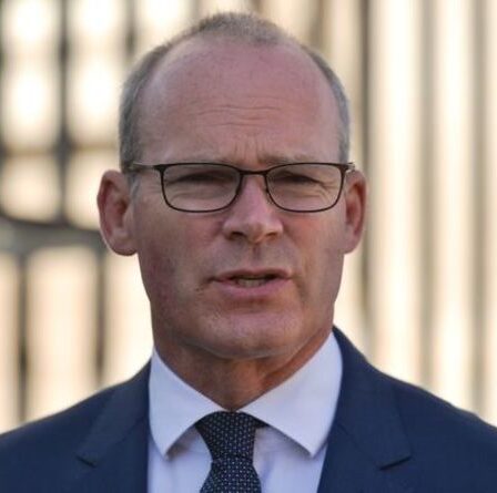L'Irlandais Coveney a appelé à pointer du doigt le Royaume-Uni dans la "rupture" des relations avec l'UE