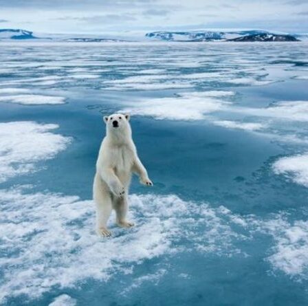 L'ONU lance un avertissement sévère aux dirigeants mondiaux quelques jours avant le sommet de la COP26 - "L'horloge tourne fort"