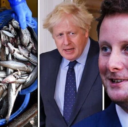 La France demande à l'UE d'imposer au Royaume-Uni des droits de douane sur la guerre de la pêche au Brexit alors que Beaune aiguillonne la Grande-Bretagne
