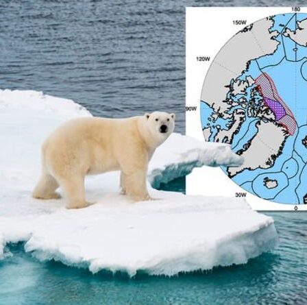 La «dernière zone de glace» de l'océan Arctique pourrait ne pas survivre au siècle alors que l'UE lorgne une tranche de Grenland