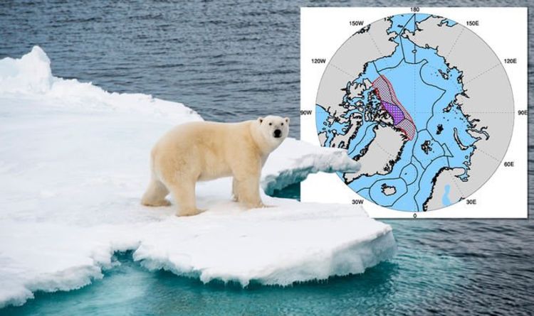 La «dernière zone de glace» de l'océan Arctique pourrait ne pas survivre au siècle alors que l'UE lorgne une tranche de Grenland
