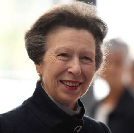 La princesse Anne plaisante avec l'ancienne infirmière A&E alors qu'elle récompense OBE pour une incroyable campagne d'EPI