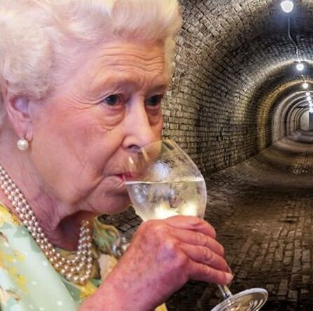 La reine a un «tunnel d'alcool secret» sous le palais menant à l'un des meilleurs bars de Londres