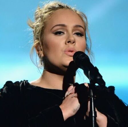 L'album de divorce d'Adele comprend des "attentes" pour l'avenir de son fils