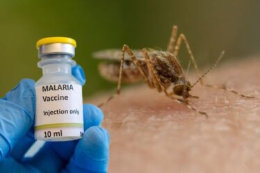 Lancement du premier vaccin approuvé contre le paludisme - "un nouvel outil puissant", selon l'OMS