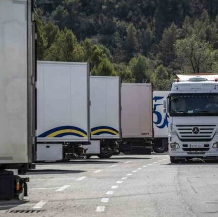 L'argument de l'UE "Le monde arrête de tourner" démantelé alors que la Belgique est vide et la France en crise
