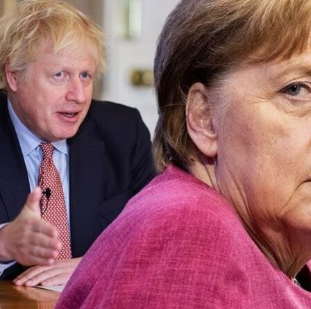 Le Brexit a "hâté" l'emprise de l'Allemagne sur l'UE : "C'est dans cette direction depuis longtemps"