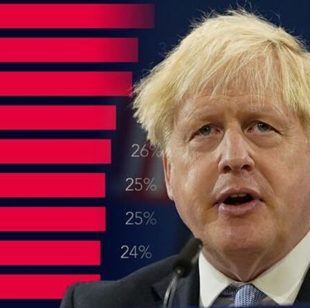 Le SEUL politicien plus populaire que le Premier ministre Boris Johnson a révélé