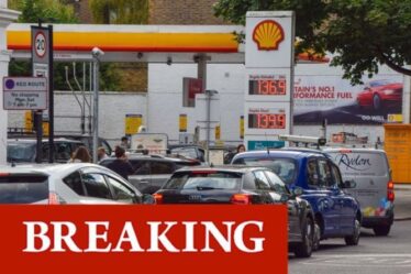 Le chaos de la crise pétrolière «s'aggrave» à Londres et dans le sud-est alors que l'armée est déployée