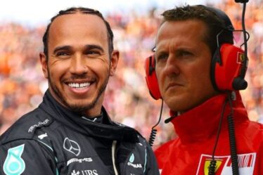 Le "combat" de Lewis Hamilton chez Mercedes est la principale différence avec la carrière de Michael Schumacher