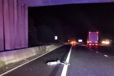 Le conducteur «aurait pu mourir» après que Yob ait lancé un scooter électrique du pont de l'autoroute