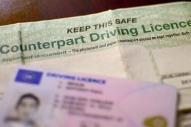 Le début de la fin pour les cartes de permis de conduire ?  Les provisoires passent au numérique dans un énorme changement