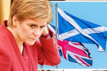 « Le nationalisme, l'enfer de la drogue ! »  La fureur écossaise se moque alors que les conseils ont plus de drapeaux britanniques que les Saltiers