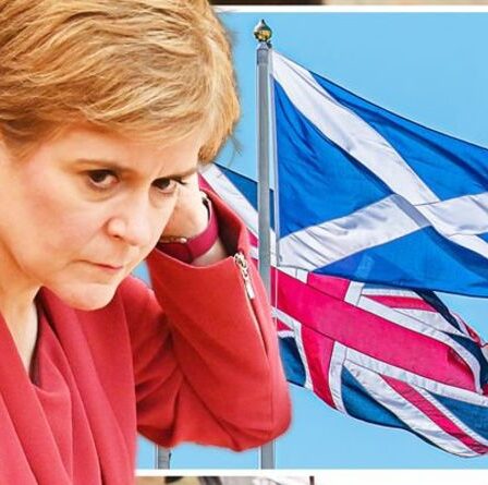 « Le nationalisme, l'enfer de la drogue ! »  La fureur écossaise se moque alors que les conseils ont plus de drapeaux britanniques que les Saltiers