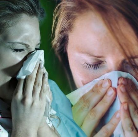 Le «pire rhume de tous les temps» se propage à travers le Royaume-Uni - vos symptômes sont-ils causés par un rhume ou une grippe?