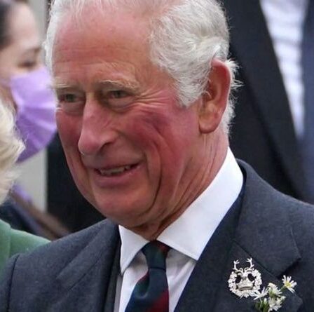 Le prince Charles dévoile la « future » gamme de la famille royale alors que des plans allégés sont en cours