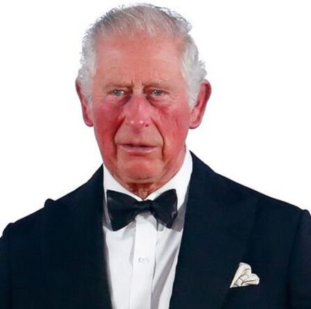 Le prince Charles fait jaillir des fans royaux avec une photo « signature » ​​« Pas une mauvaise idée »