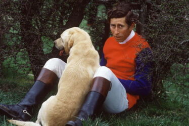 Le prince Charles forcé d'abandonner son « vieux fidèle » chien après que Diana a dit qu'il était trop « puant »