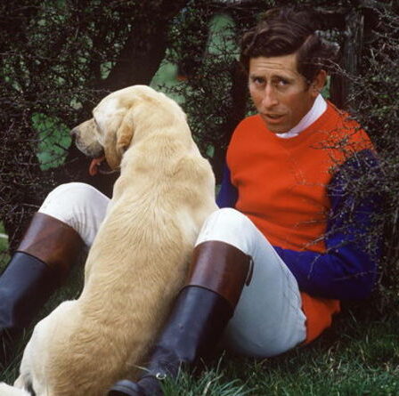 Le prince Charles forcé d'abandonner son « vieux fidèle » chien après que Diana a dit qu'il était trop « puant »