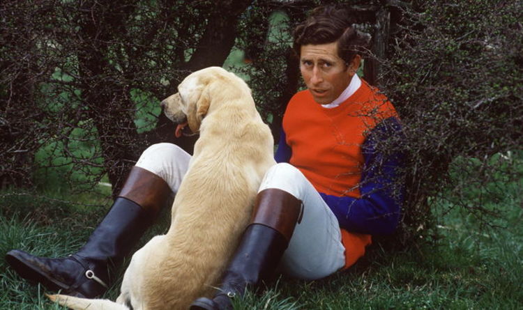 Le prince Charles forcé d'abandonner son « vieux fidèle » chien après que Diana a dit qu'il était trop « puant »