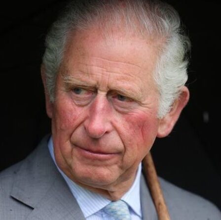 Le prince Charles héritera de la «couronne ternie» alors que l'héritage des scandales a laissé la reine indemne