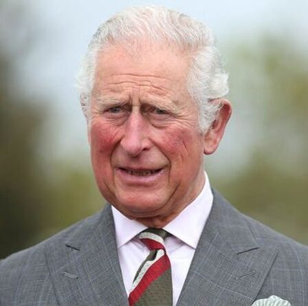 Le prince Charles sauvé des «chiens kamikazes» dans l'échec d'un complot d'attaque terroriste nationaliste gallois