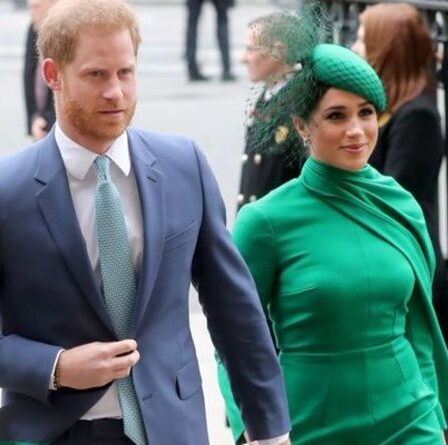 Le prince Harry a dirigé les décisions du Megxit malgré le fait que Meghan soit le "catalyseur" "Image très claire"