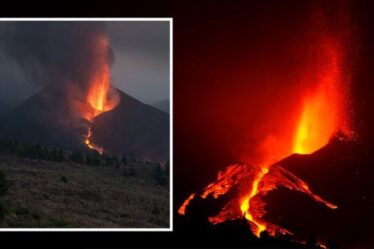 Le volcan de La Palma craint une "recharge" de magma alors que 50 tremblements de terre secouent les îles Canaries