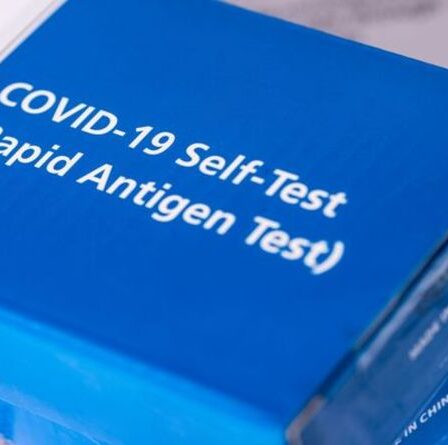 Les Britanniques peuvent utiliser des tests moins chers lorsqu'ils voyagent en "fournissant une preuve" - ​​quand la PCR sera-t-elle abandonnée ?