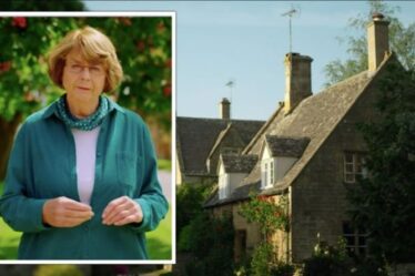 Les Cotswolds : Pam Ayres dévoile le village avec « la plus belle rue principale de Grande-Bretagne »