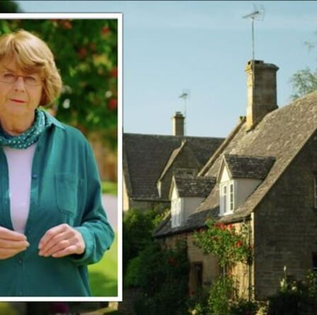 Les Cotswolds : Pam Ayres dévoile le village avec « la plus belle rue principale de Grande-Bretagne »