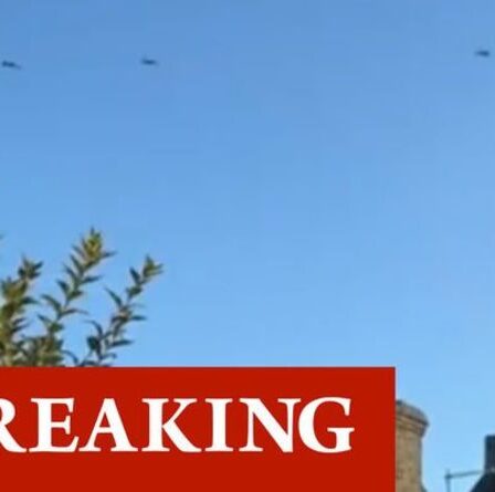 Les Londoniens sont déconcertés par les avions de chasse repérés en formation au-dessus de la capitale : « So LOUD ! »