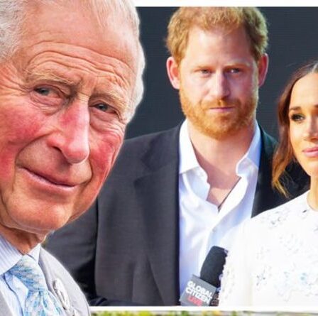 Les Royals ripostent !  Charles dirigera la transformation dramatique de Firm après le Megxit